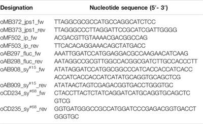 A Novel Potent Carrier for Unconventional Protein Export in Ustilago maydis